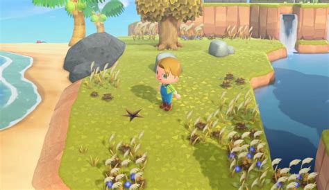 animal crossing how to get different gyroids