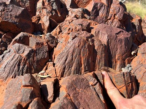 earths oldest impact crater discovered  australia scientific american