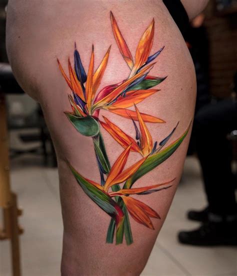 Pin by Meredith Cook on Tattoo ideas | Bird of paradise tattoo ...