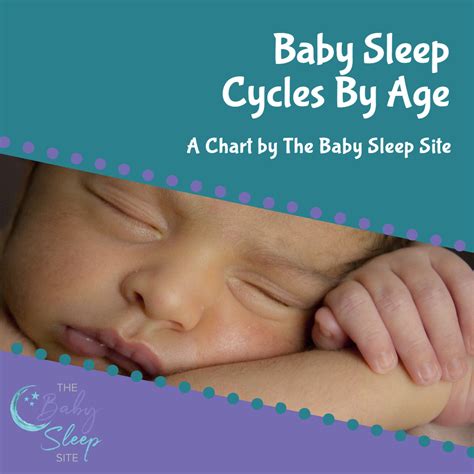 Baby Sleep Cycles by Age Chart | The Baby Sleep Site