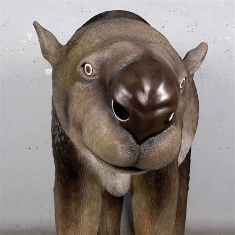 Diprotodon Optatum Sculpture For Playgrounds Or Displays