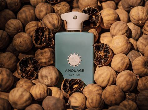 Amouage Odyssey Collection: Escape Into A World Of Frankincense