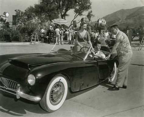 The Amazing Story Of Johnny Dark And The Woodill Wildfire