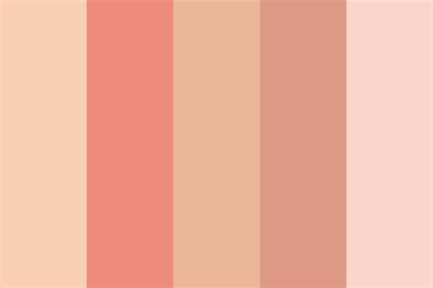 Aesthetic Background Color Palette - clickandno4