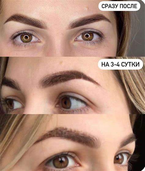 Заживление ПМ бровей | Брови, Перманентный макияж, Ресницы советы