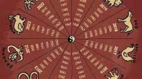 chinese zodiac signs explained readers digest