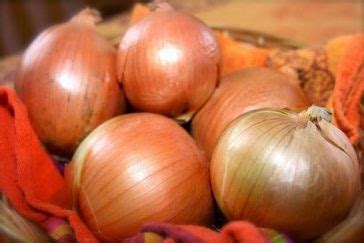 Cebola Aumenta A Testosterona - Cebola: 45 benefícios, tipos, informação nutricional e malefícios | Dr ...