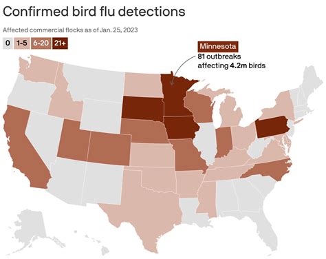 bird flu continues spread experts worry axios nw arkansas