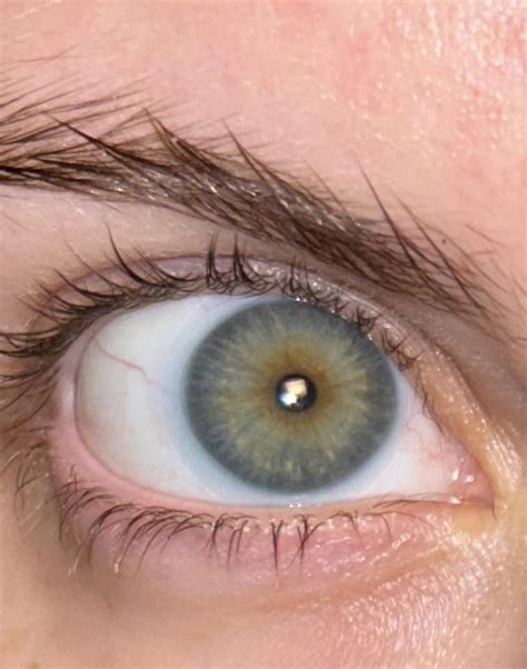 person   sides   family    blue  color