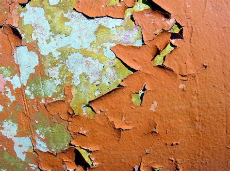 lead abatement acm services