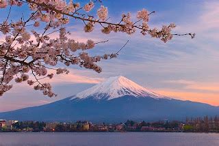 É primavera no Japão. Tempo de sakura ~ japancultpopbr