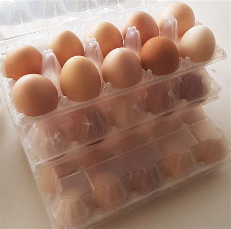 Фермерские продукты Фото - Агротуристская ферма "Деревенька моя"