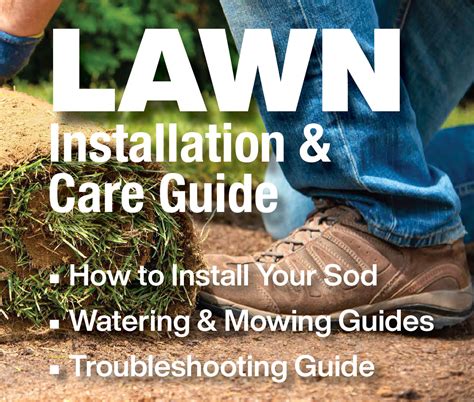 how to prep for sod install