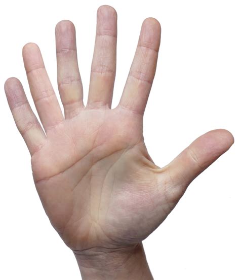 finger
