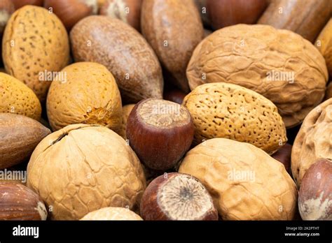 close  view   kinds  nuts stock photo alamy