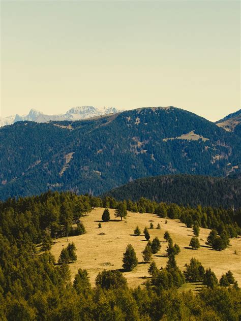 Mom+Big+Ass+Pics Photos, Download The BEST Free Mom+Big+Ass+Pics Stock