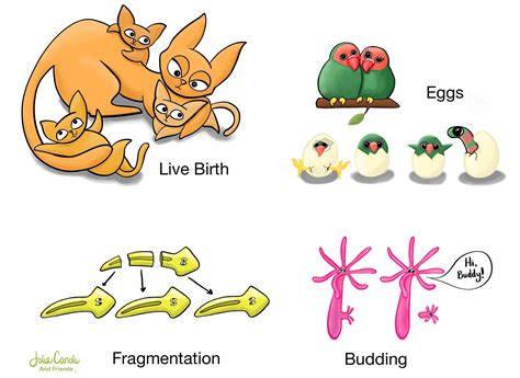 biology — Blog — Jolie Canoli