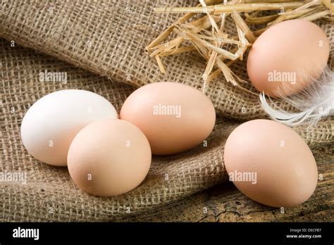 fresh eggs  farm stock photo alamy