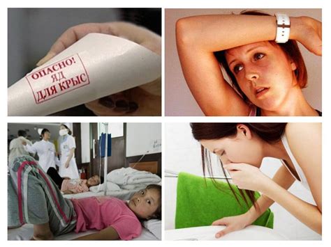 Крысиный яд: состав, как действует, опасность