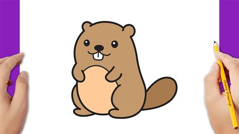 beaver drawing cartoon