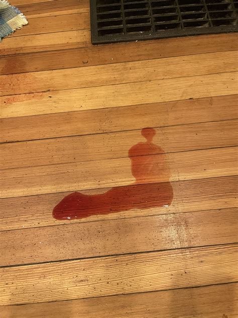 Dog peeing blood : r/vet
