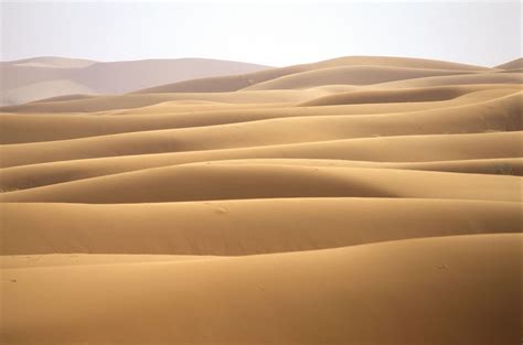 Seif Dunes