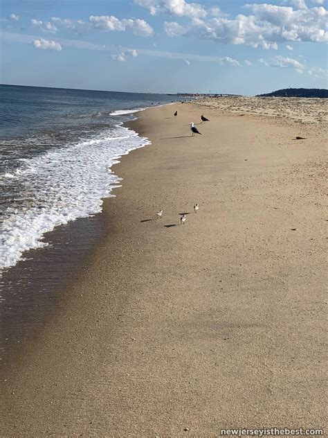 Beach at Sandy Hook in Middletown Township – New Jersey is the Best