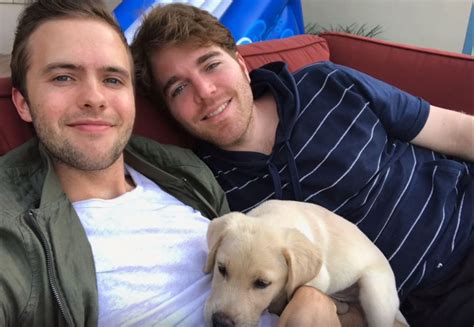 Shane Dawson explains how cat scandal “ruined” his marriage proposal ...