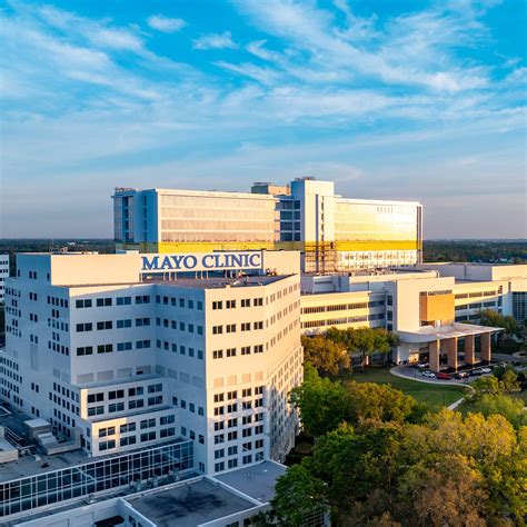 Tomorrow's Cure: How next-gen ultrasound improves cardiac care - Mayo