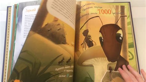 ОЧЕНЬ ИНТЕРЕСНАЯ КНИГА ПРО МУРАВЬЕВ! Книга Я МУРАВЕЙ! ИНТЕРЕСНЫЕ ФАКТЫ ...