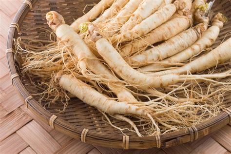 Chá De Ginseng Como Fazer - Chá de Ginseng - Benefícios, como fazer e como tomar! - MundoBoaForma