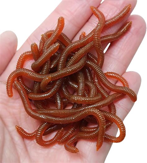LFCFBH 50PCS Plastic Fake Worms, Stretchy Toy Worms for Halloween