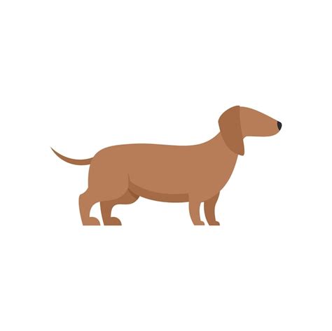 Premium Vector | Long dog icon flat illustration of long dog vector