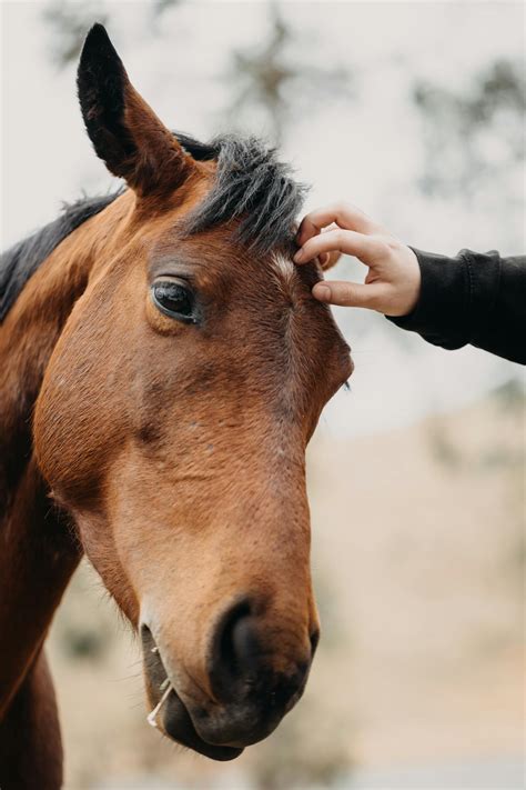 Up+Skirt+Stocking+Tops Photos, Download The BEST Free Up+Skirt+Stocking