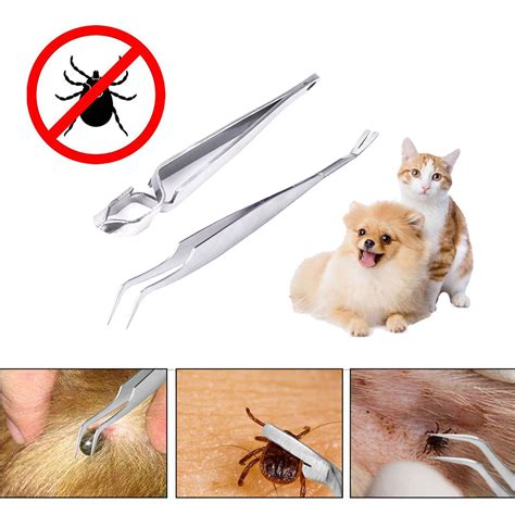2 In 1 Rvs Tick Pincet Professionele Quick Tick Re... – Grandado
