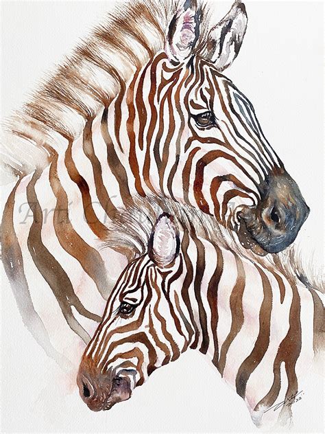 mother  baby zebra portrait africa animals original watercolor