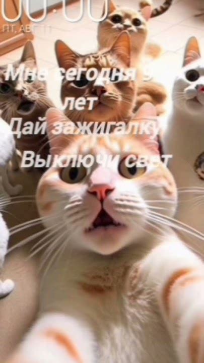 поздравьте меня..) - YouTube