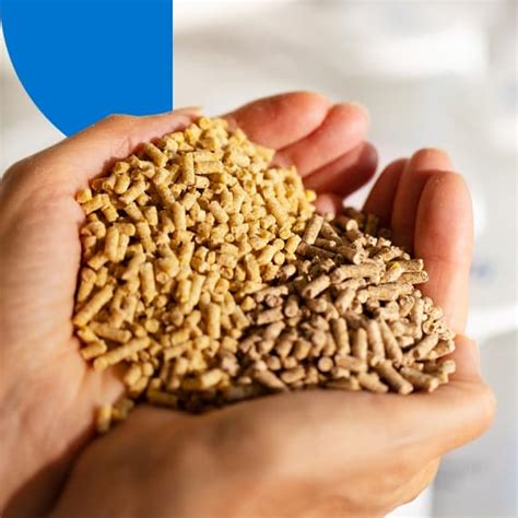 Reducing Nitrosamines with Low Nitrite METHOCEL™ | IFF