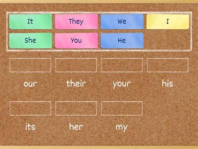 Possessives - Teaching resources