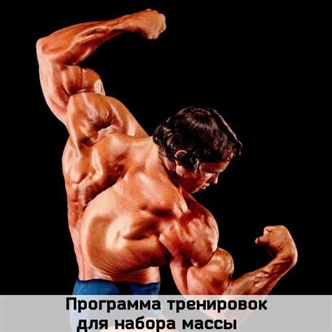 Программа тренировок для набора массы