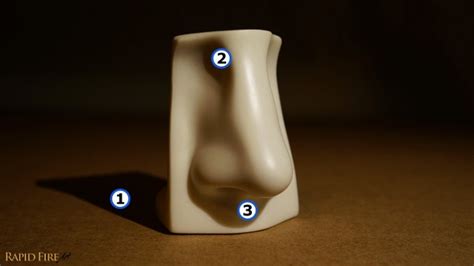 shade  complete beginners