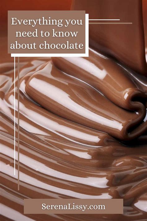 Everything You Need to Know About Chocolate - Serena Lissy