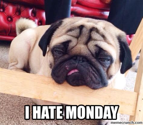 I Hate Monday Pictures, Photos, and Images for Facebook, Tumblr ...