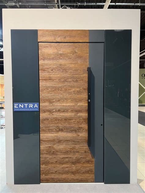 Panel RAL 7016 and Facade Board for Stunning Exterior Door