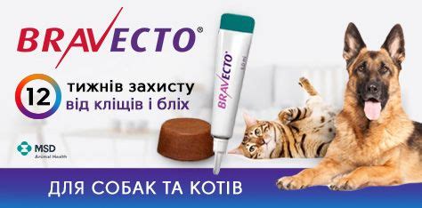 Купить ветеринарные препараты и лекарства 💊 для животных в Киеве ...