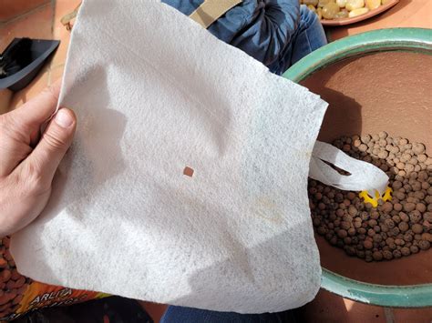 plantflower centre drain stuff  olo deepdelver   stl