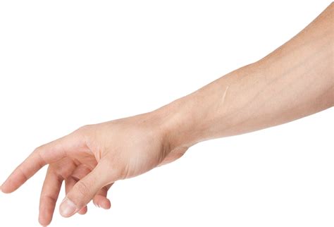 Arm Png Transparent Image Arms Clipart Transparent Png 600x442 | Images ...