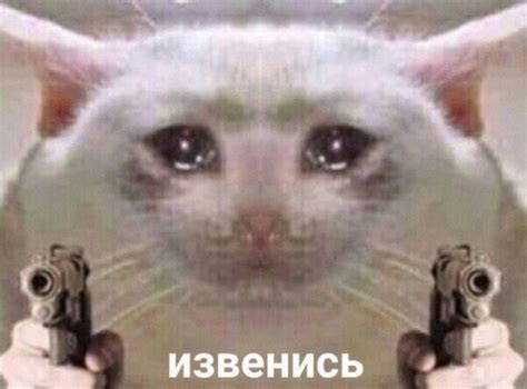 Смешные картинки с котами мемы без надписей