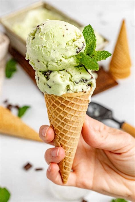 mint chocolate chip ice cream recipe dinner  dessert