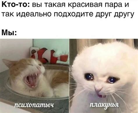 Пин от пользователя Olga Mayskaya на доске Юмор | Милые котики ...